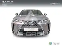2022 Lexus UX250
