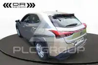 2022 Lexus UX250