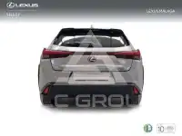 2022 Lexus UX250