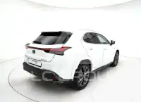 2022 Lexus UX250