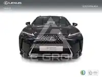 2022 Lexus UX250