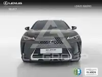 2022 Lexus UX250