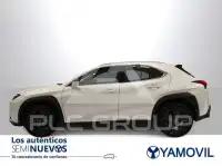 2022 Lexus UX250