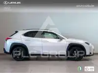 2022 Lexus UX250