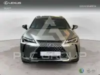 2022 Lexus UX250