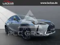 2022 Lexus UX250