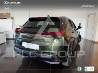 2022 Lexus UX250