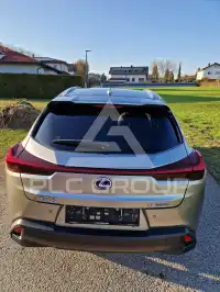 2022 Lexus UX250