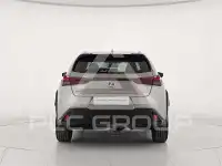 2022 Lexus UX250