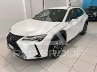 2022 Lexus UX250