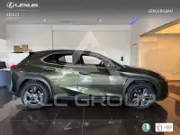2022 Lexus UX250