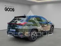 2022 Lexus UX250