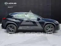 2022 Lexus UX250