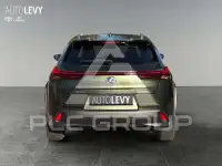 2022 Lexus UX250