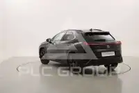 2022 Lexus UX250