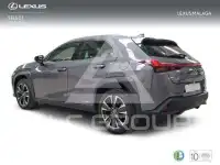 2022 Lexus UX250