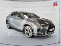 2022 Lexus UX250