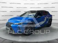 2022 Lexus UX250