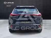 2022 Lexus UX250