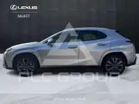 2022 Lexus UX250
