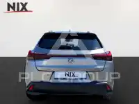 2022 Lexus UX250