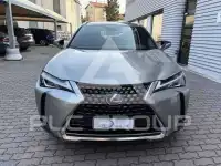 2022 Lexus UX250