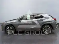 2022 Lexus UX250