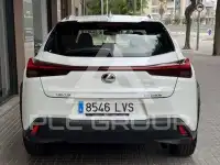 2022 Lexus UX250
