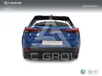 2022 Lexus UX250