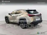 2022 Lexus UX250