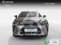 2022 Lexus UX250