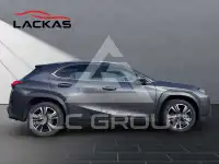 2022 Lexus UX250