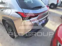 2022 Lexus UX250