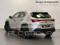 2022 Lexus UX250