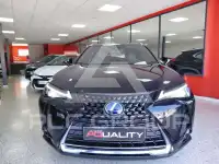 2022 Lexus UX250