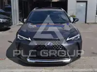 2022 Lexus UX250
