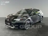 2022 Lexus UX250