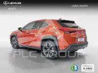 2022 Lexus UX250