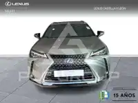 2022 Lexus UX250