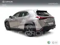 2022 Lexus UX250