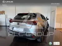 2022 Lexus UX250