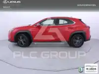 2022 Lexus UX250