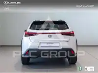 2022 Lexus UX250