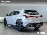 2022 Lexus UX250