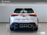 2022 Lexus UX250