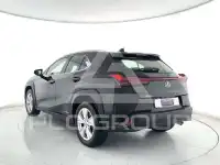 2022 Lexus UX250