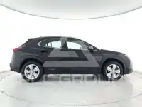 2022 Lexus UX250