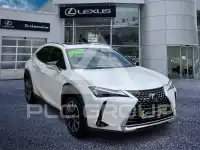 2022 Lexus UX250