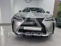2022 Lexus UX250