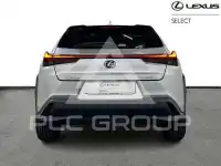 2022 Lexus UX250